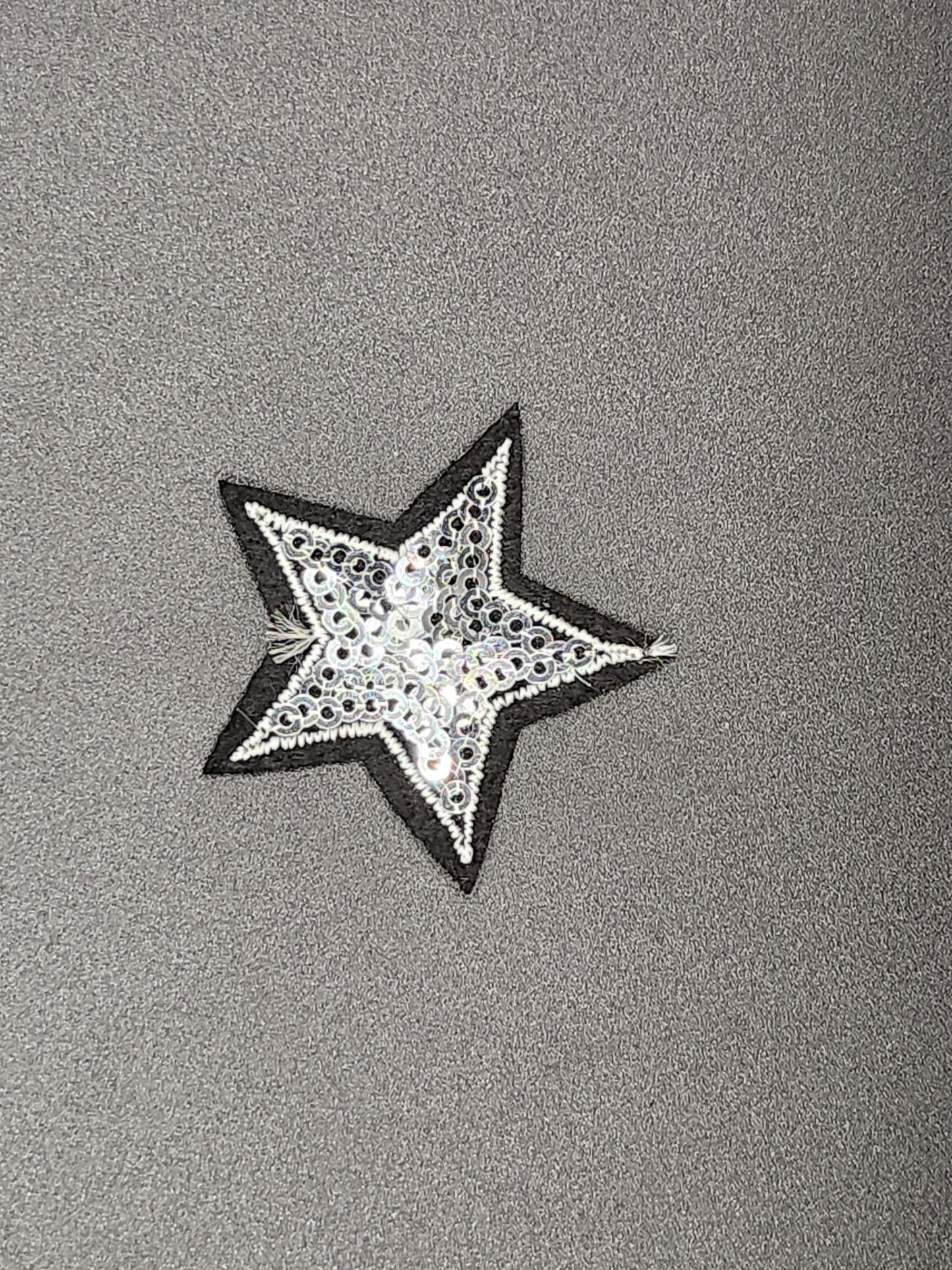 Embleem ster zilver pailletten